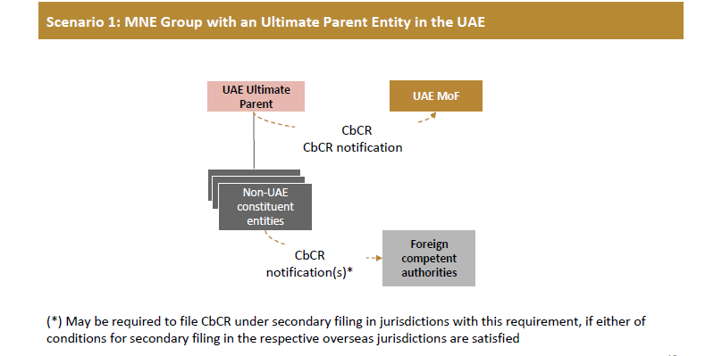 CbCR-UAE-8