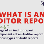 what is an auditor report?