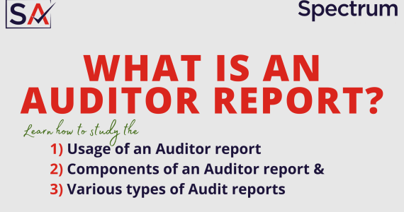 what is an auditor report?